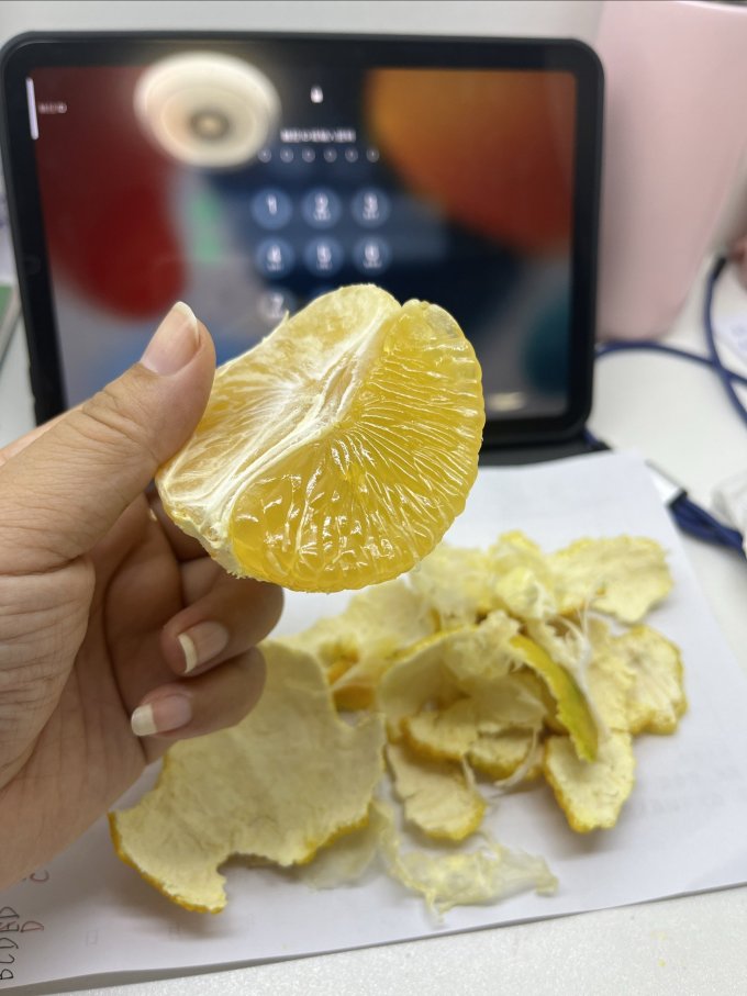 勇者无惧橙子