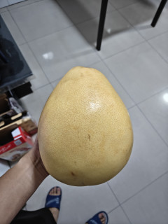 今年的第一单柚子
