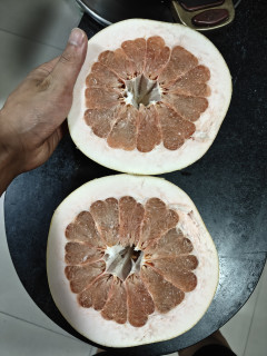 今年的第一单柚子