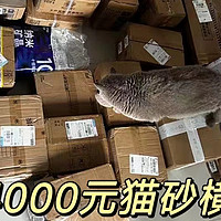 猫砂学术级横测：9块9与300元的猫砂，差在哪里？可能是本站最严谨的猫砂测评！里兜、Pidan、福丸等