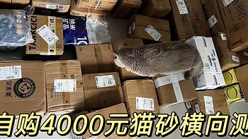 猫砂学术级横测：9块9与300元的猫砂，差在哪里？可能是本站最严谨的猫砂测评！里兜、Pidan、福丸等