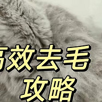 「多猫家庭」猫毛满天飞，有什么神器可以解决这个问题吗？