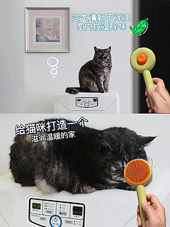 据说养🐱家庭人手必备空气净化器……