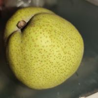 一颗冰梨作为饭后水果是何等美味