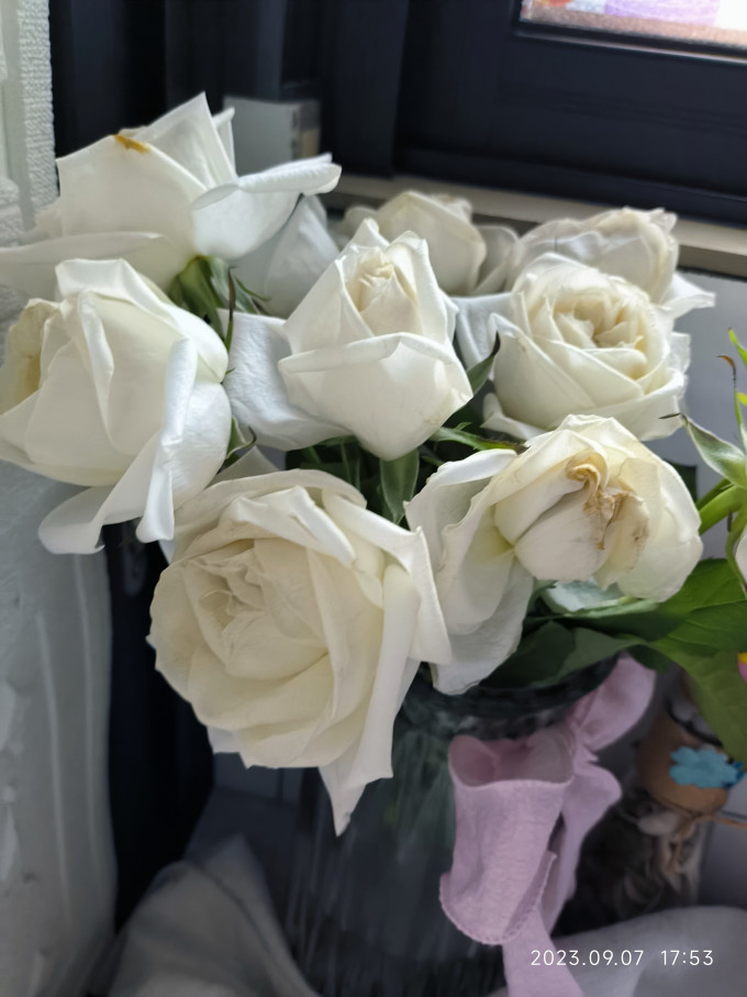 鲜花绿植