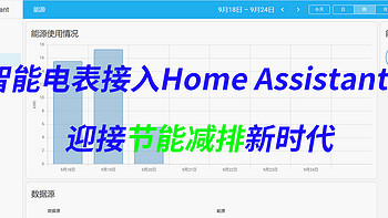 智能电表接入Home Assistant，迎接节能减排新时代