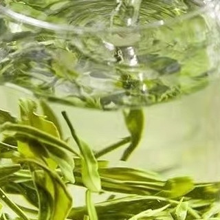 国庆宅家研究各种茶叶的功效
