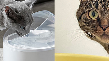 怎么选择到质量好的智能猫砂盆、智能喂食器、猫咪饮水机？CATLINK品牌怎么样？