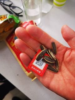 香脆可口的洽洽瓜子