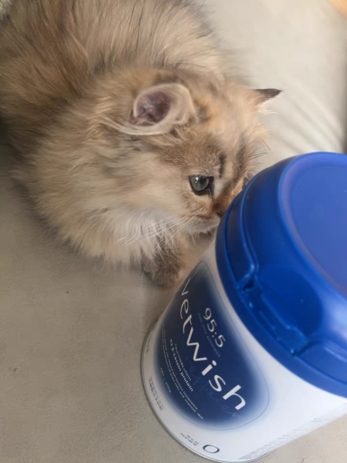 猫零食