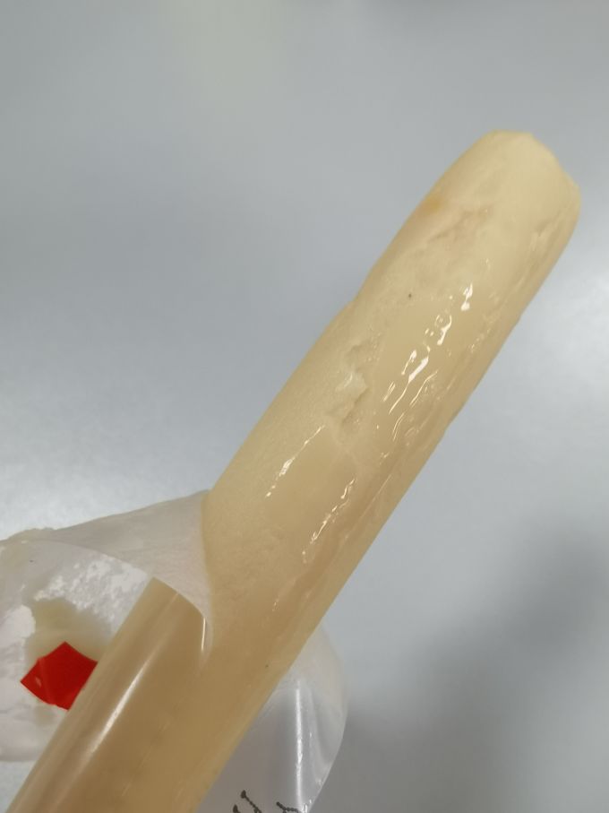 小鹿蓝蓝鱼肠肉肠
