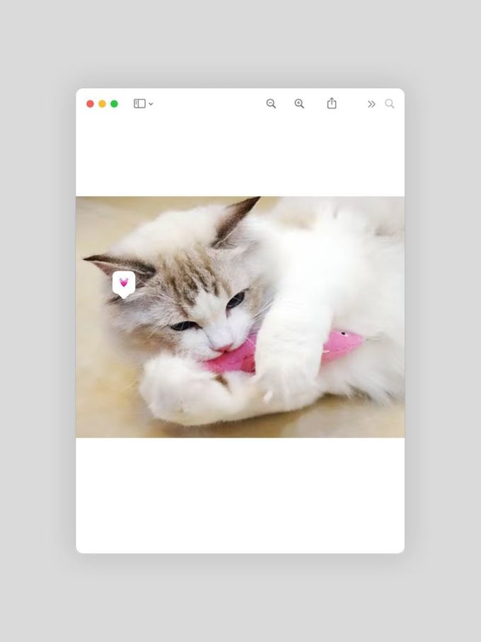 猫玩具