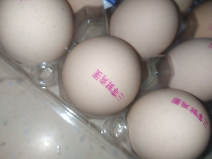 禽蛋肉类