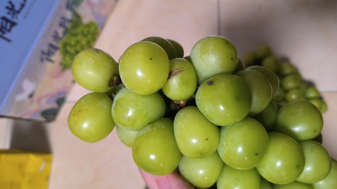 语博新鲜水果