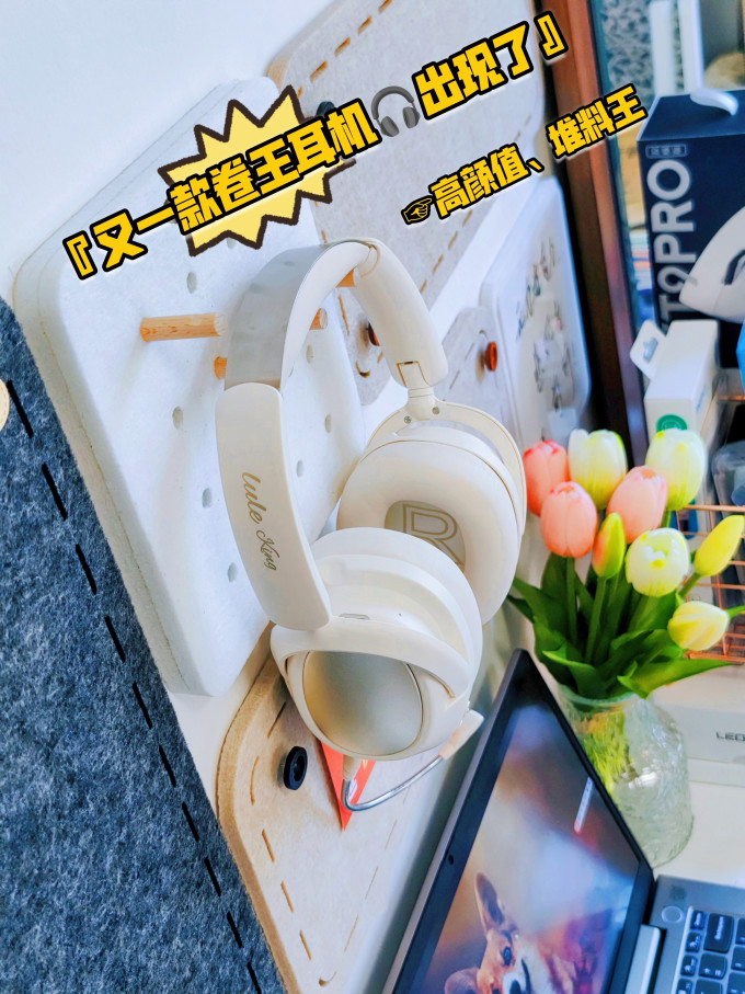 灵野头戴式耳机