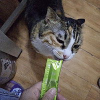 珍致猫零食猫条 混合口味装10g*16支 一舔定情猫湿粮 喵酱之吻系列
