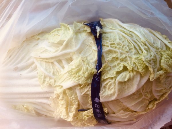 这真是白菜价？