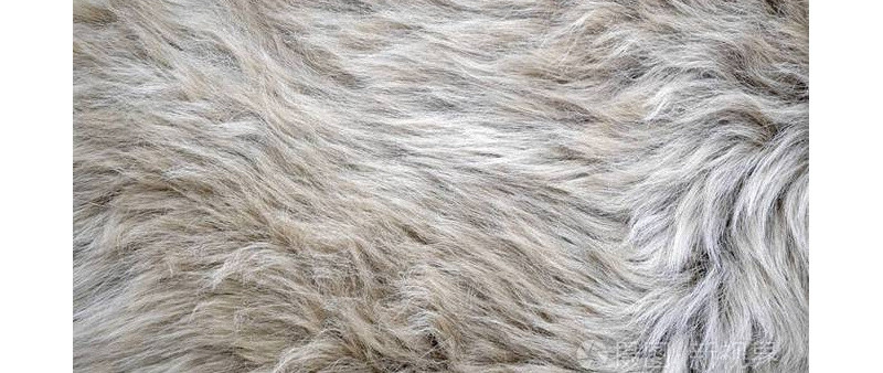 动物的毛发能加工成缝纫线吗