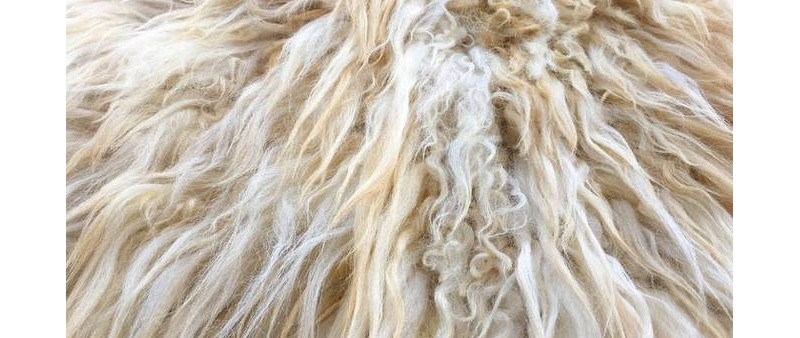植物纤维与动物毛发制作成缝纫线的区别