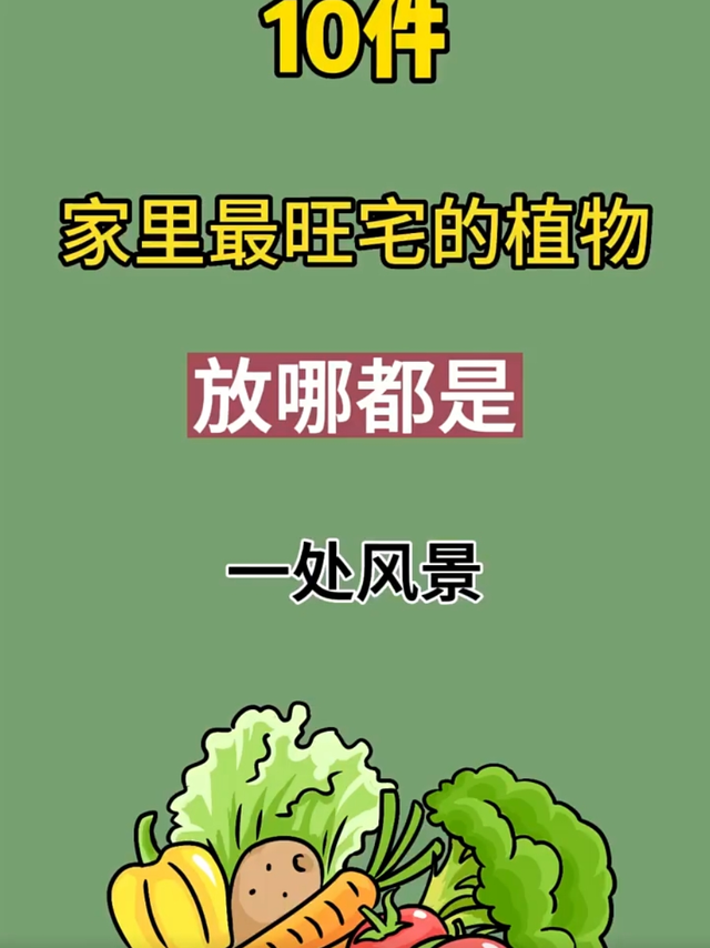 家里最旺宅的植物