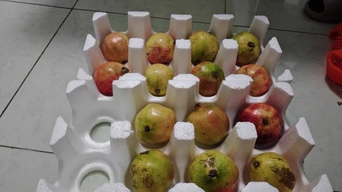 新鲜水果
