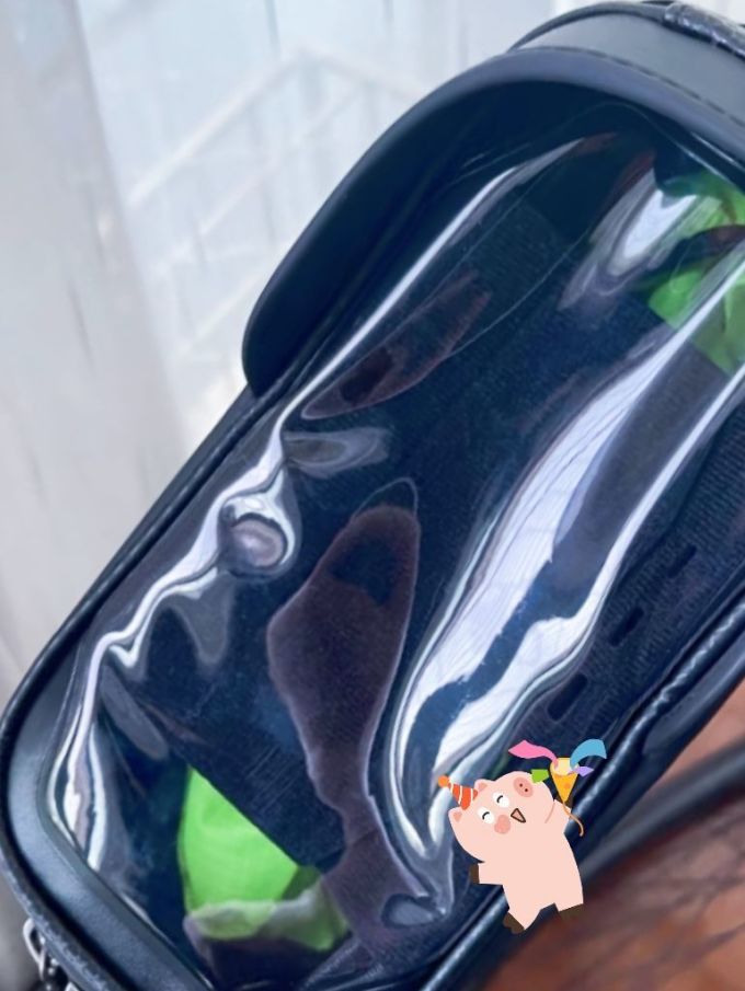 骑行运动