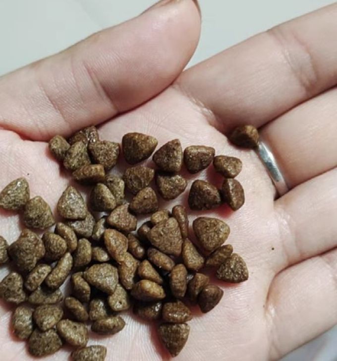 狗狗干粮