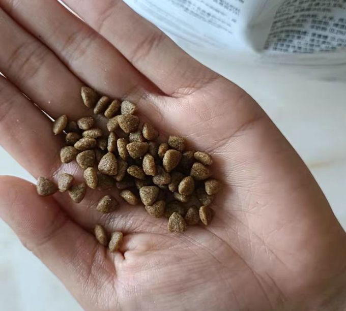 狗狗干粮