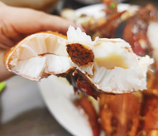 「舌尖上的波士顿龙虾」:美食爱好者不可错过的爆款食材！
