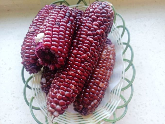 蔬菜