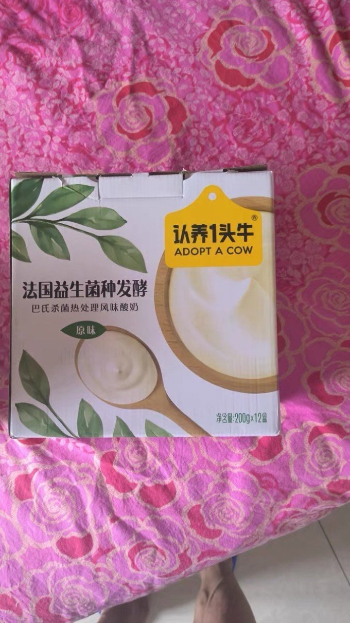 常温酸奶