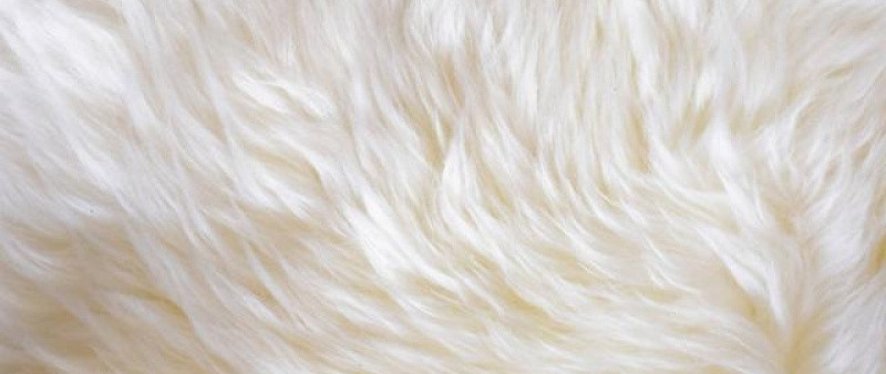 动物毛发制作的缝纫线会引起过敏吗