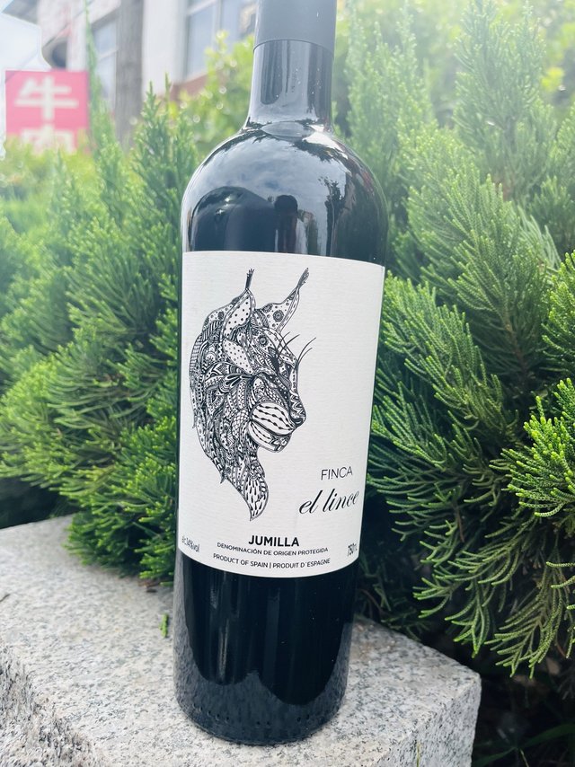 绝对值丨最近买的值，一个是79💰的侯爵，另一款是80💰的林克