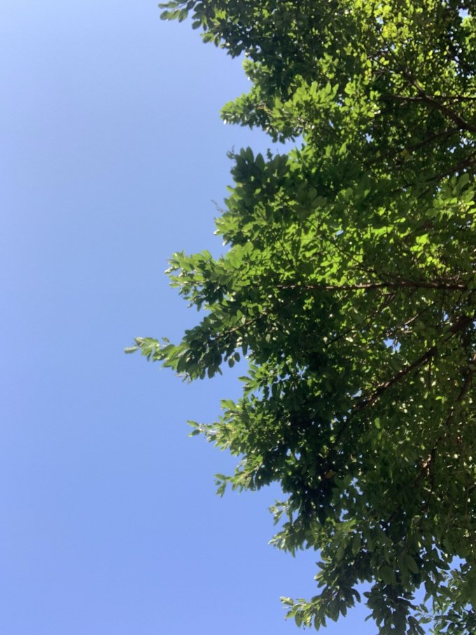 手机