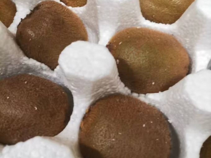 新鲜水果