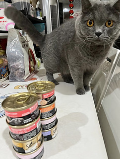 希宝泰国进口猫罐头混合装85g*24罐猫粮猫湿粮整箱装（多种口味）