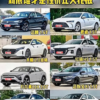 16万闭眼买的车