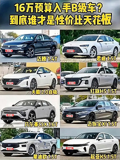 16万闭眼买的车