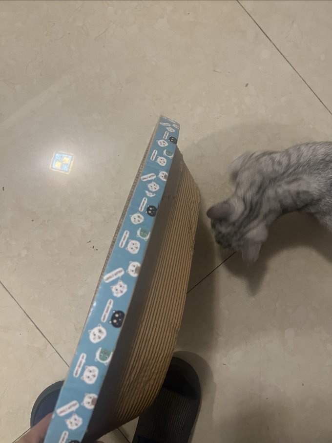 猫玩具