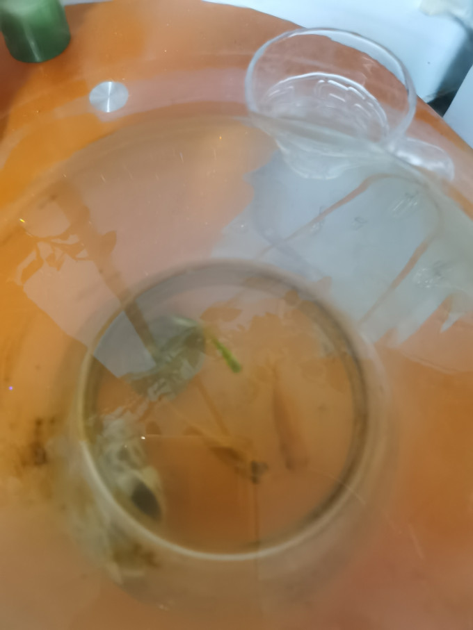 水族