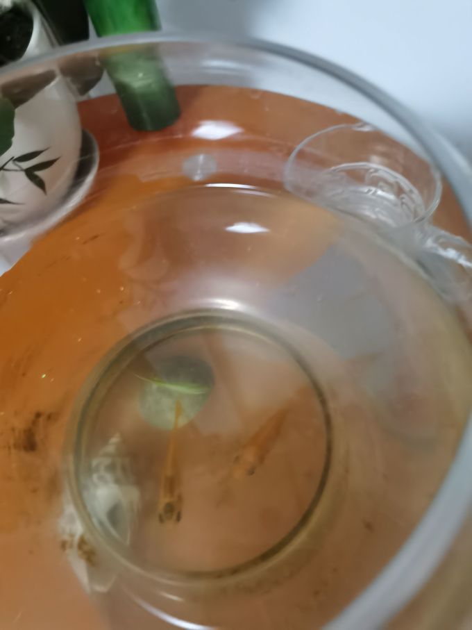 水族
