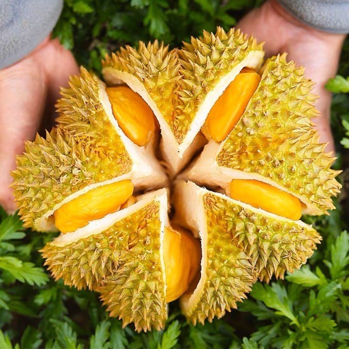 泰壹榴新鲜水果