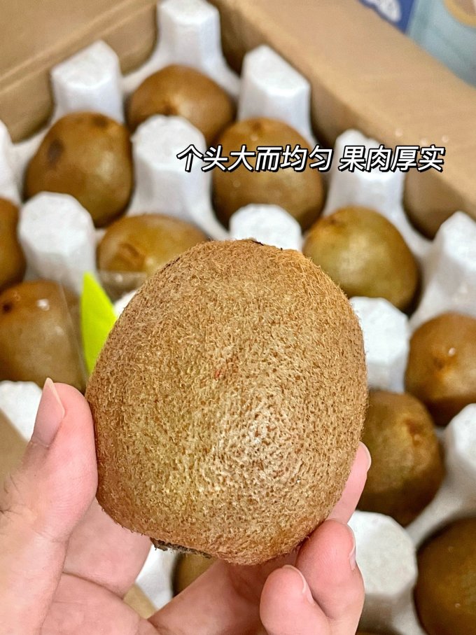 新鲜水果