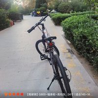 骑上我的飞鸽山地自行车出发