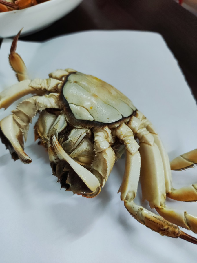 姑苏渔歌蟹类