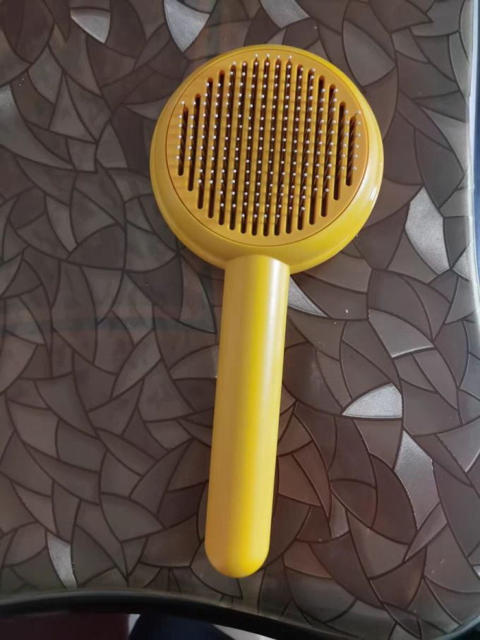 宠物洗护美容