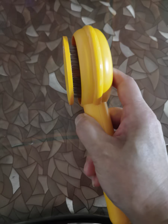 宠物洗护美容