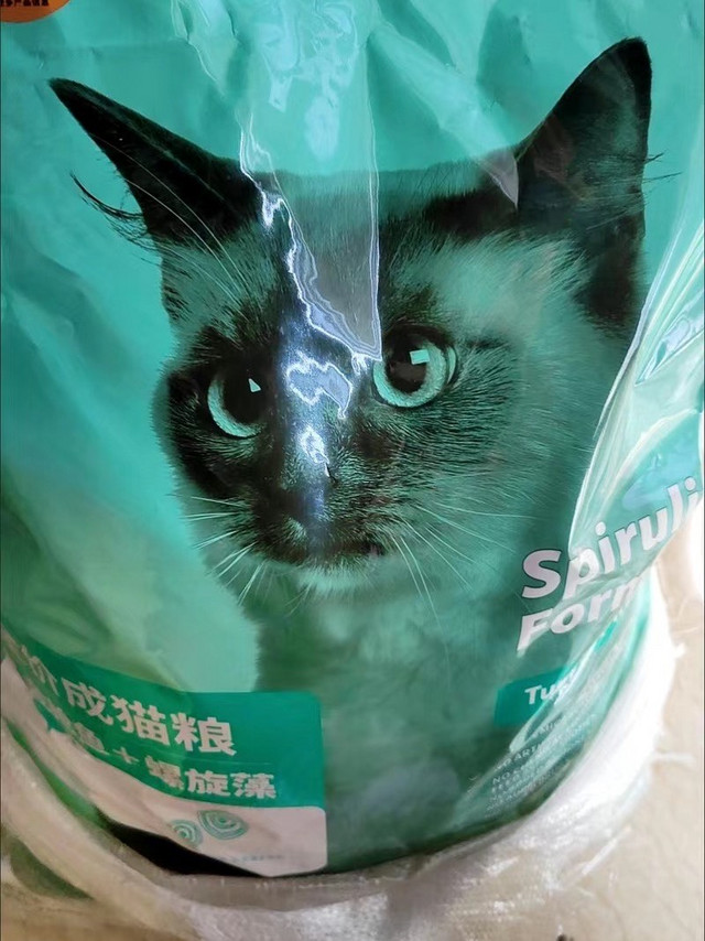 麦富迪 猫粮 藻趣儿全价猫粮蓝猫英短美短美毛靓肤成猫粮 金枪鱼成猫丨10kg