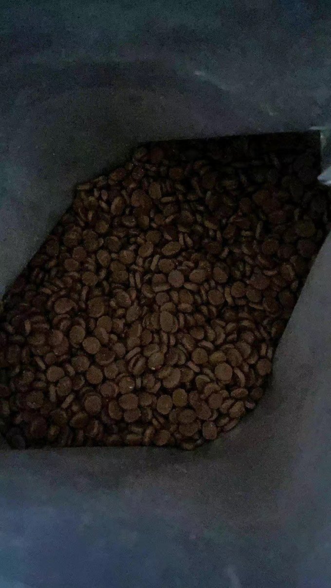 猫咪干粮