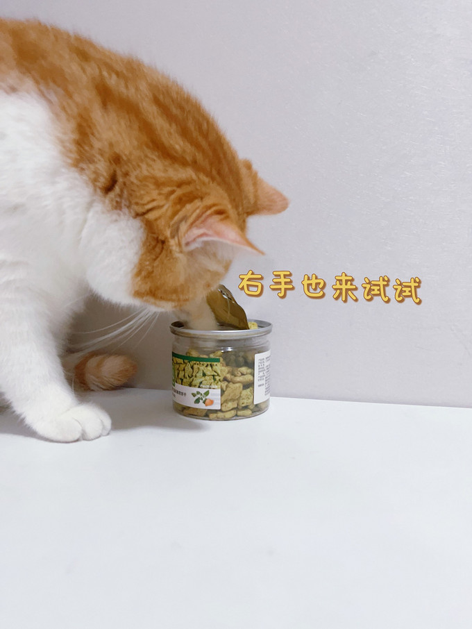 网易严选猫咪零食罐/妙鲜包